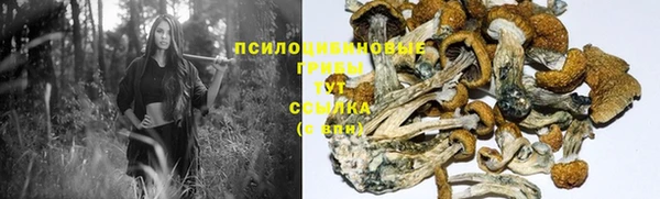 винт Аркадак